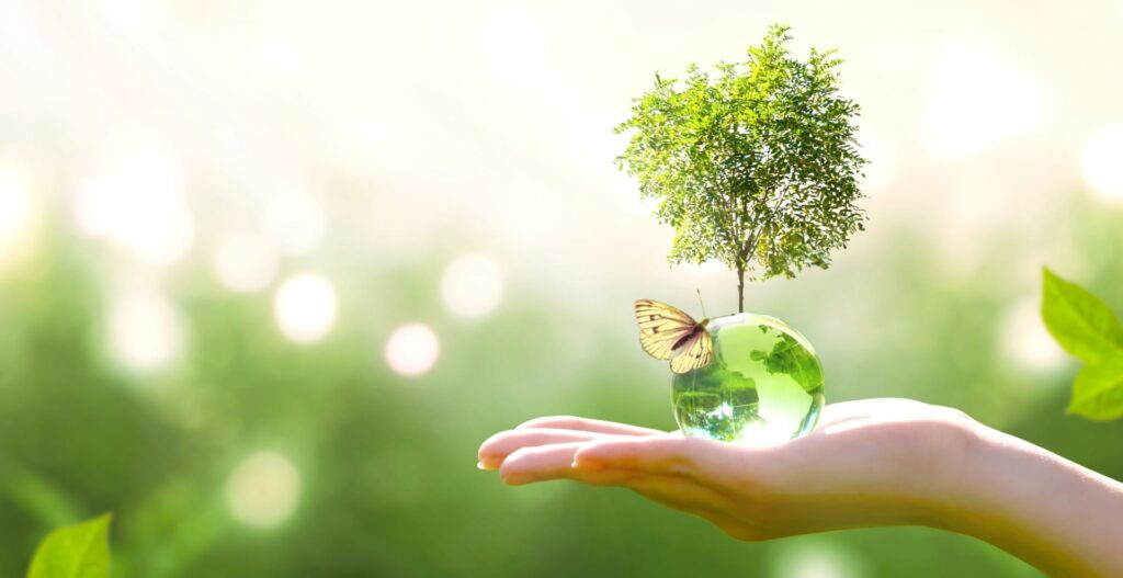 Sustainability Basics course - Sämling Solution Consulting