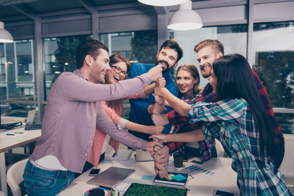 Development of a project culture and organisation - Sämling Solution Consulting