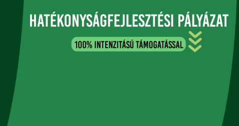 Pályázat - Sämling Solution Consulting