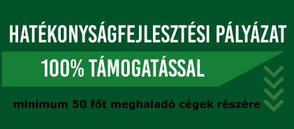 Pályázat - Sämling Solution Consulting